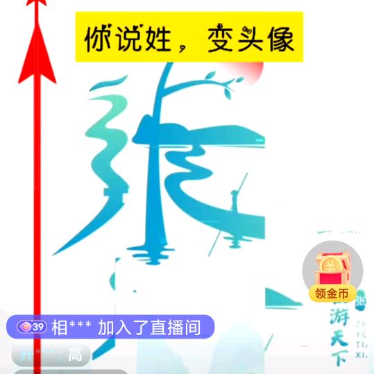 张愉宸