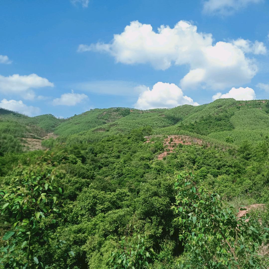 y一帆风顺