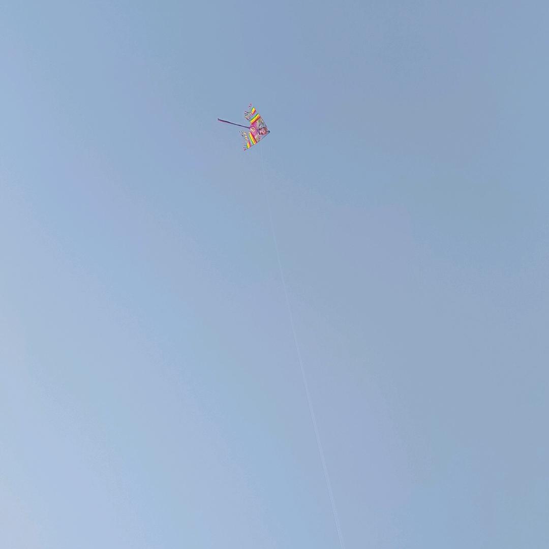 怀文