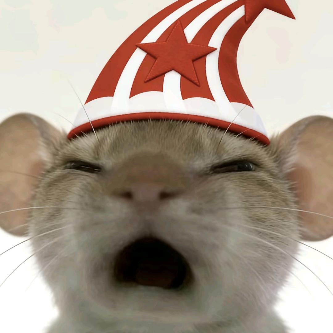 炉火麦芽粥（寻找互勉约拍）