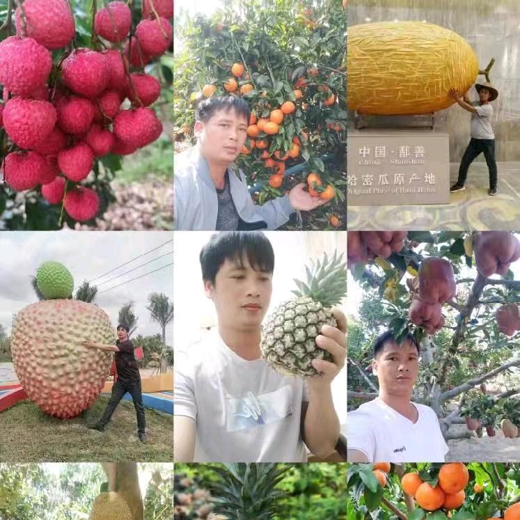 广延果业