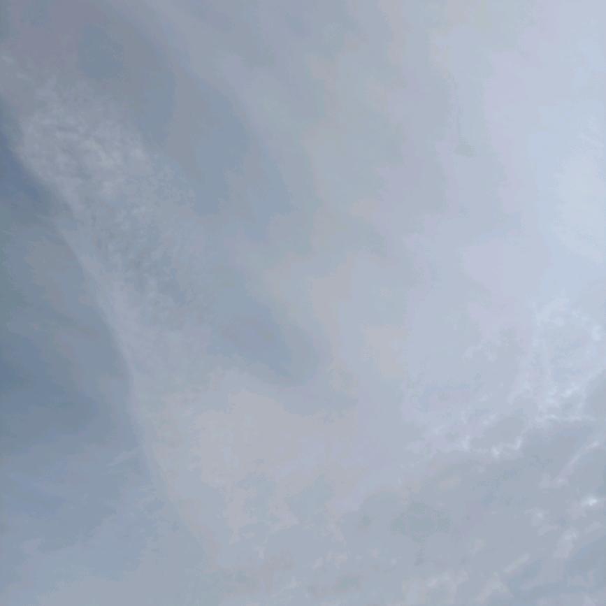 丑八怪
