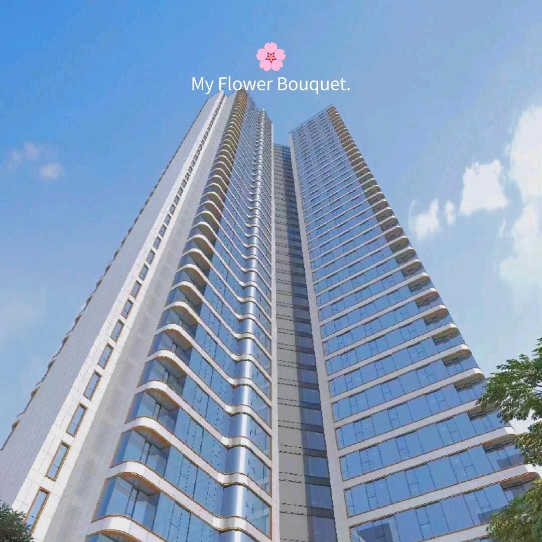 长沙现房  黄木木