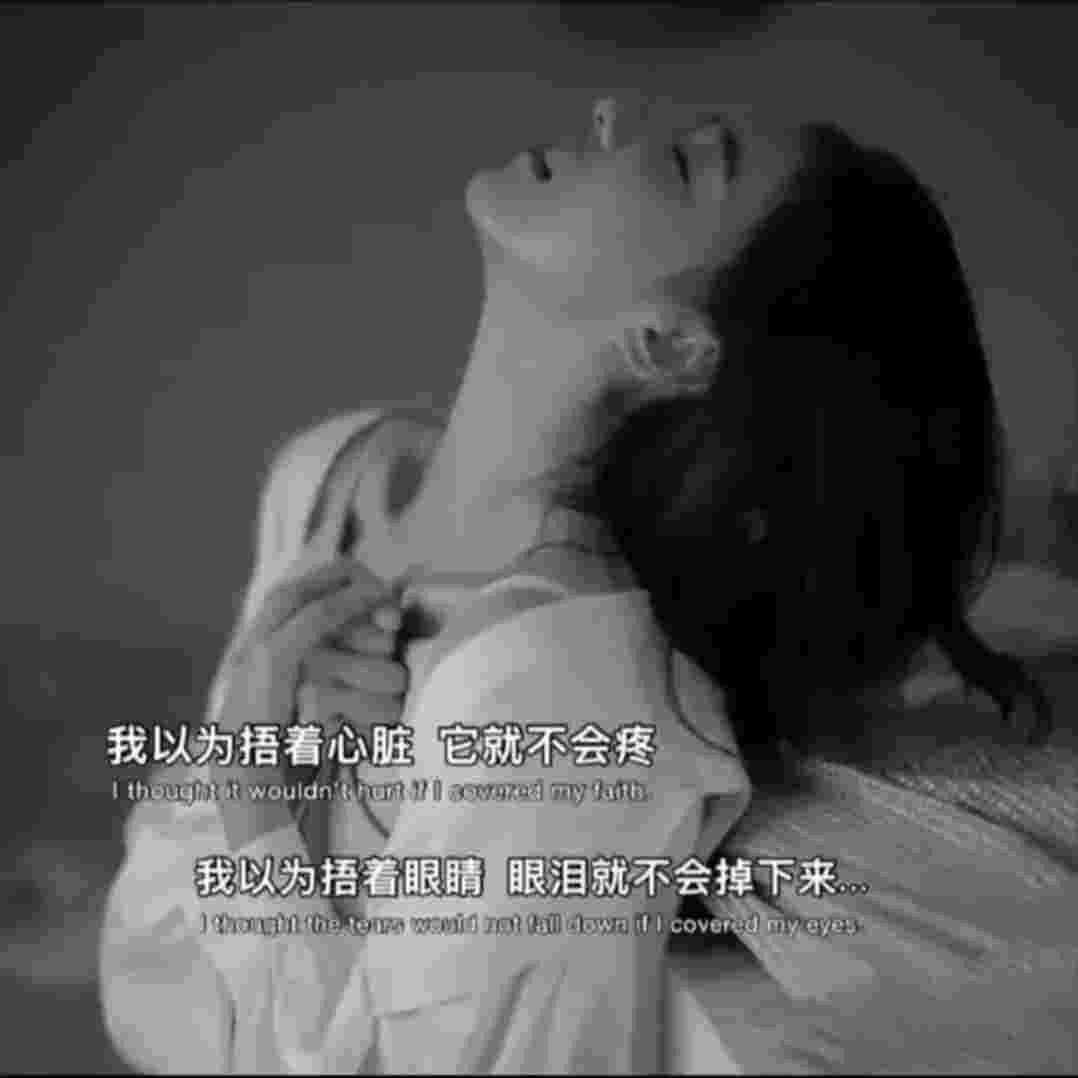 ∰隨（封）飄揚的蒲公英♥