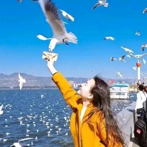 数一数二地道烧鸡