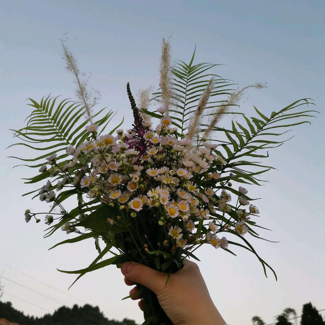 麻辣小吃店