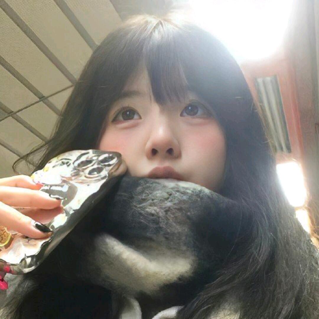 你是小狼嘛