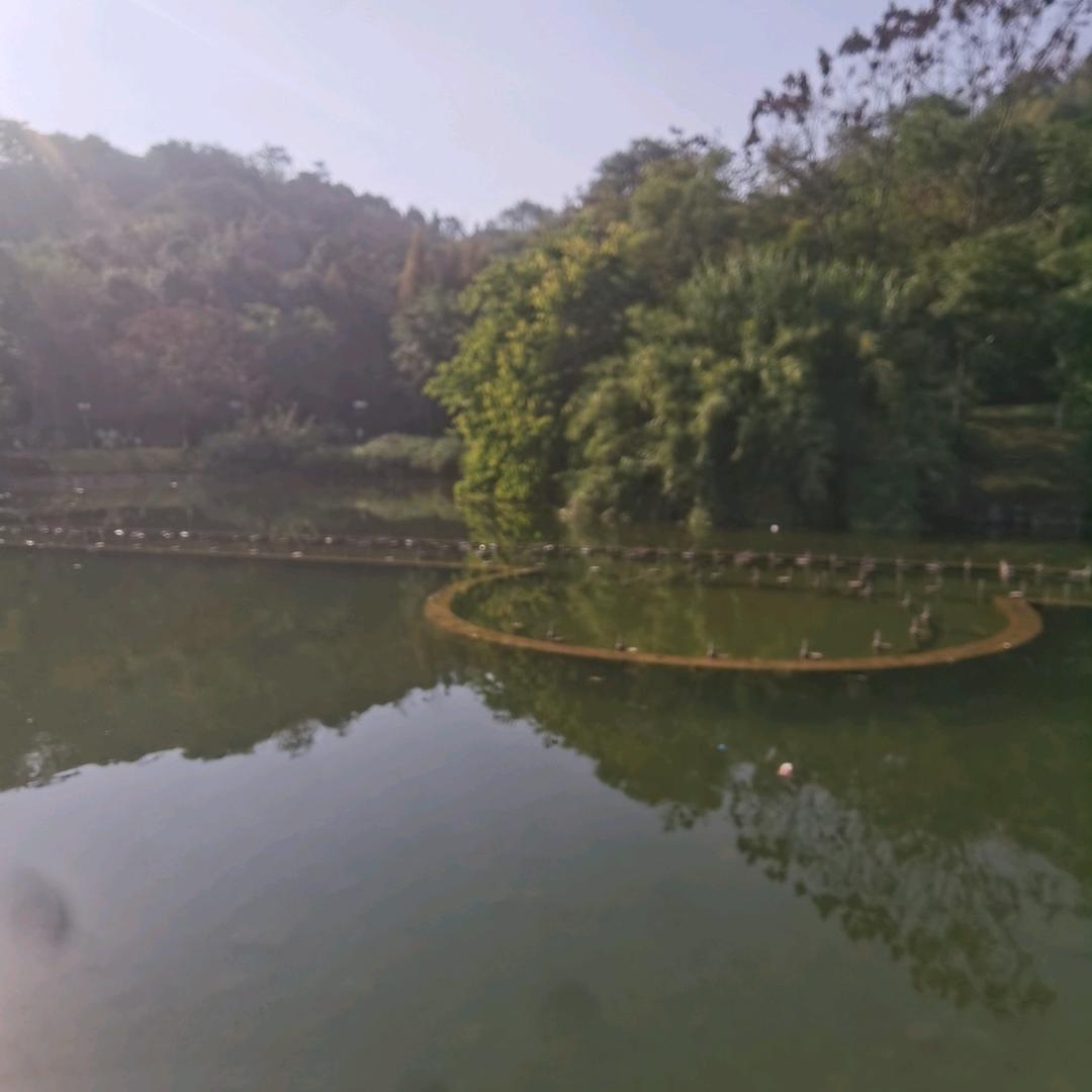 就是我