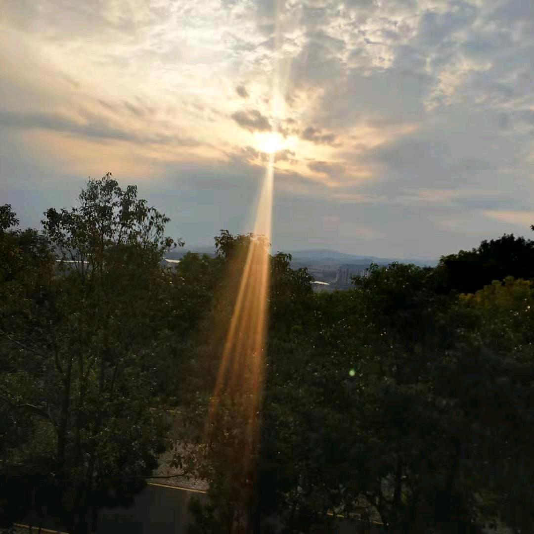 🌈君临天下💥🍵