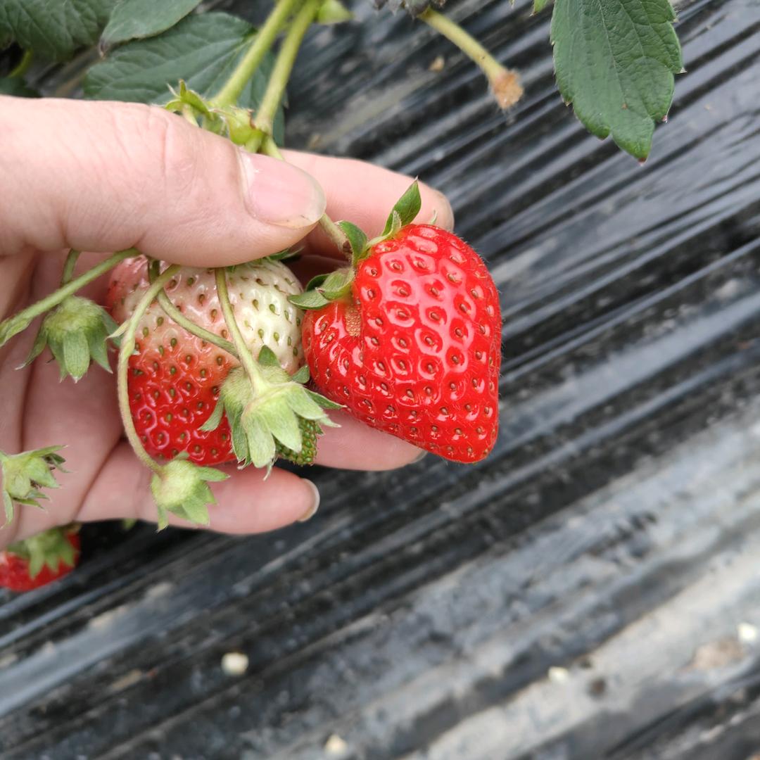 忘了时间忘了过去。