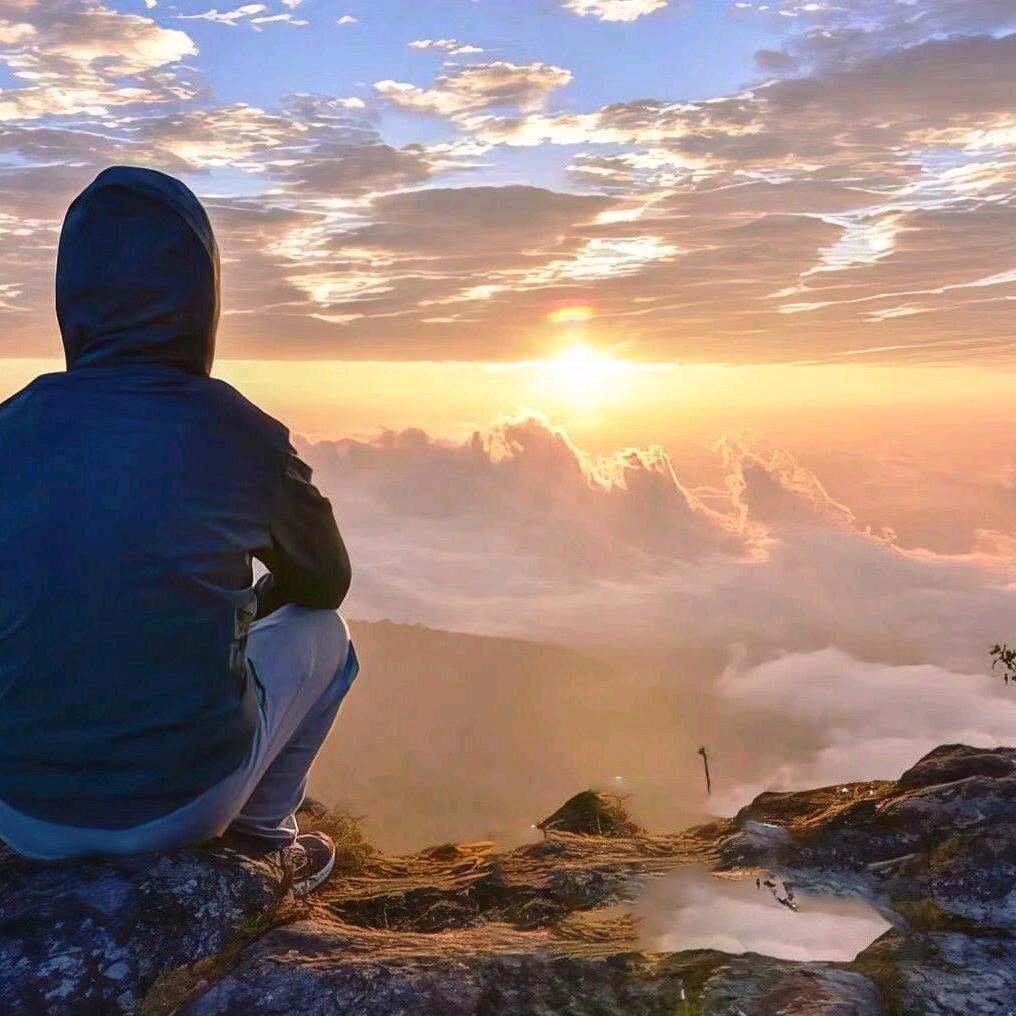 八～戒～哥～哥