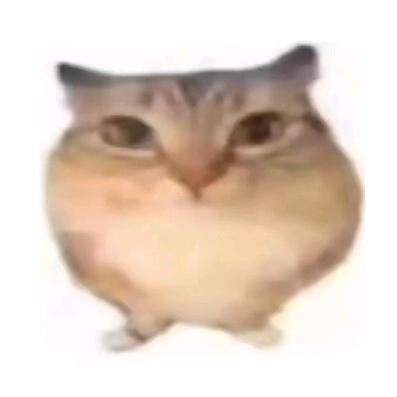 瓜皮月亮