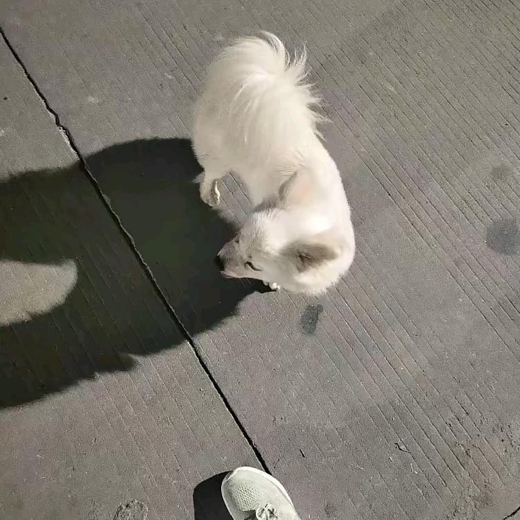 阿鹏👈🏻