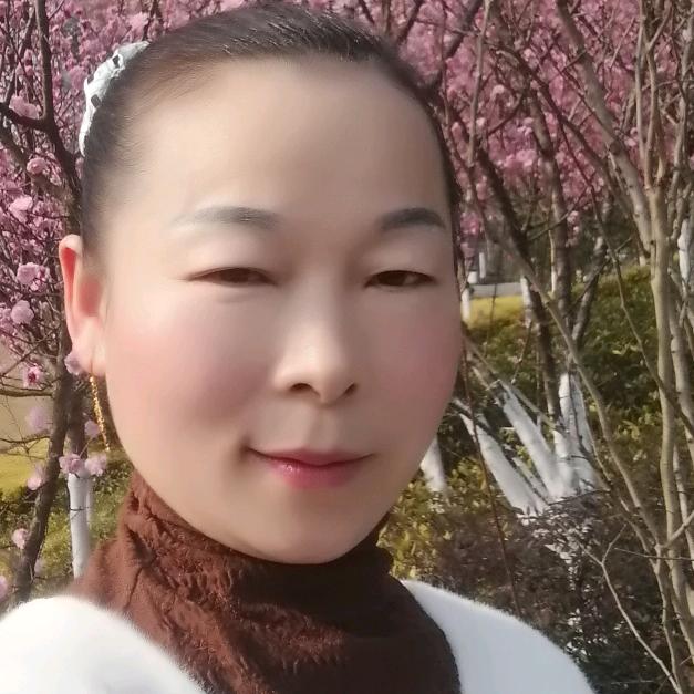 刘凤