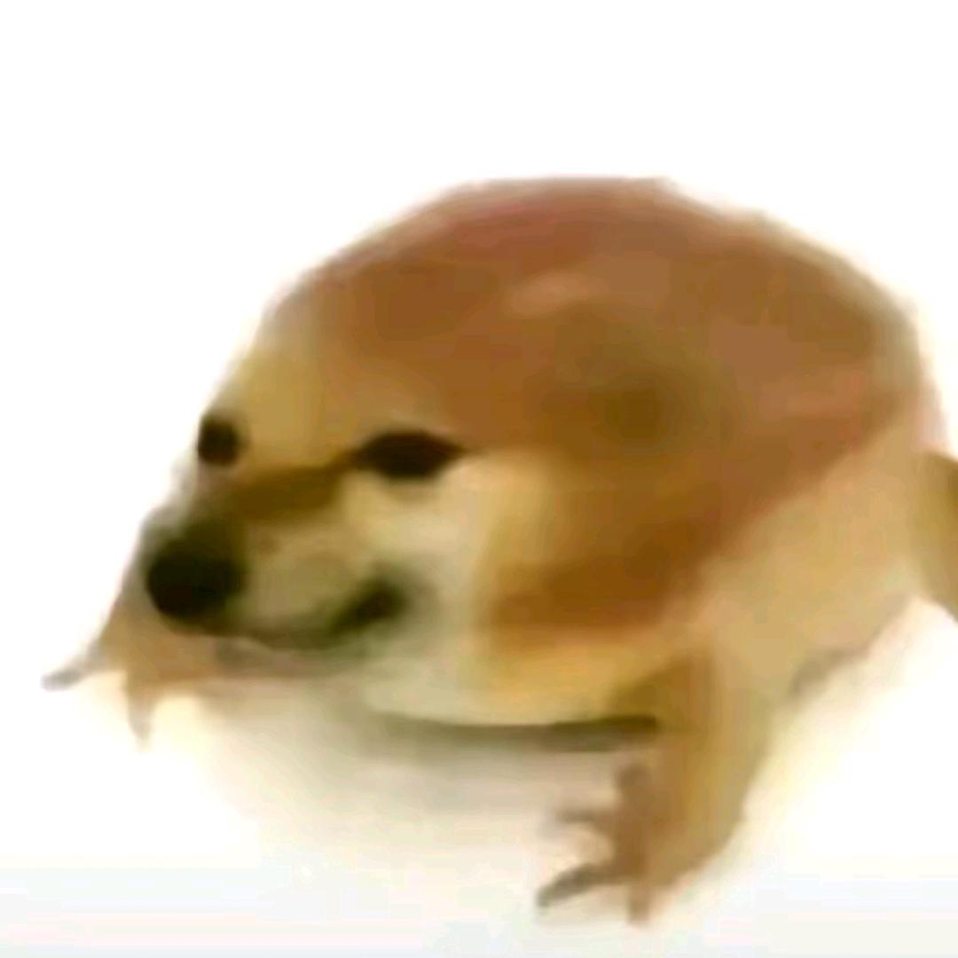 小隼 暗区突围
