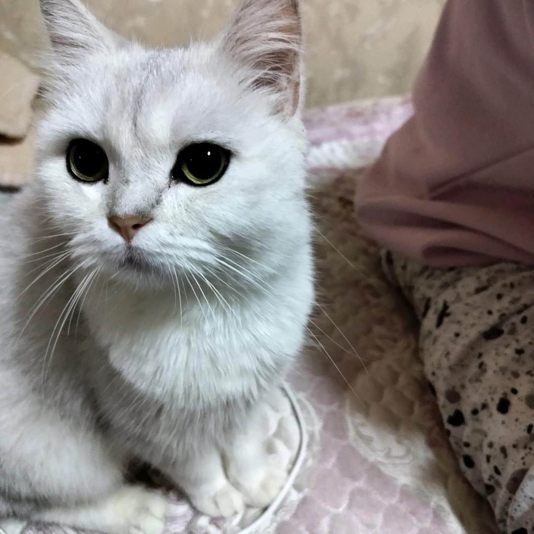 用户9478798734768