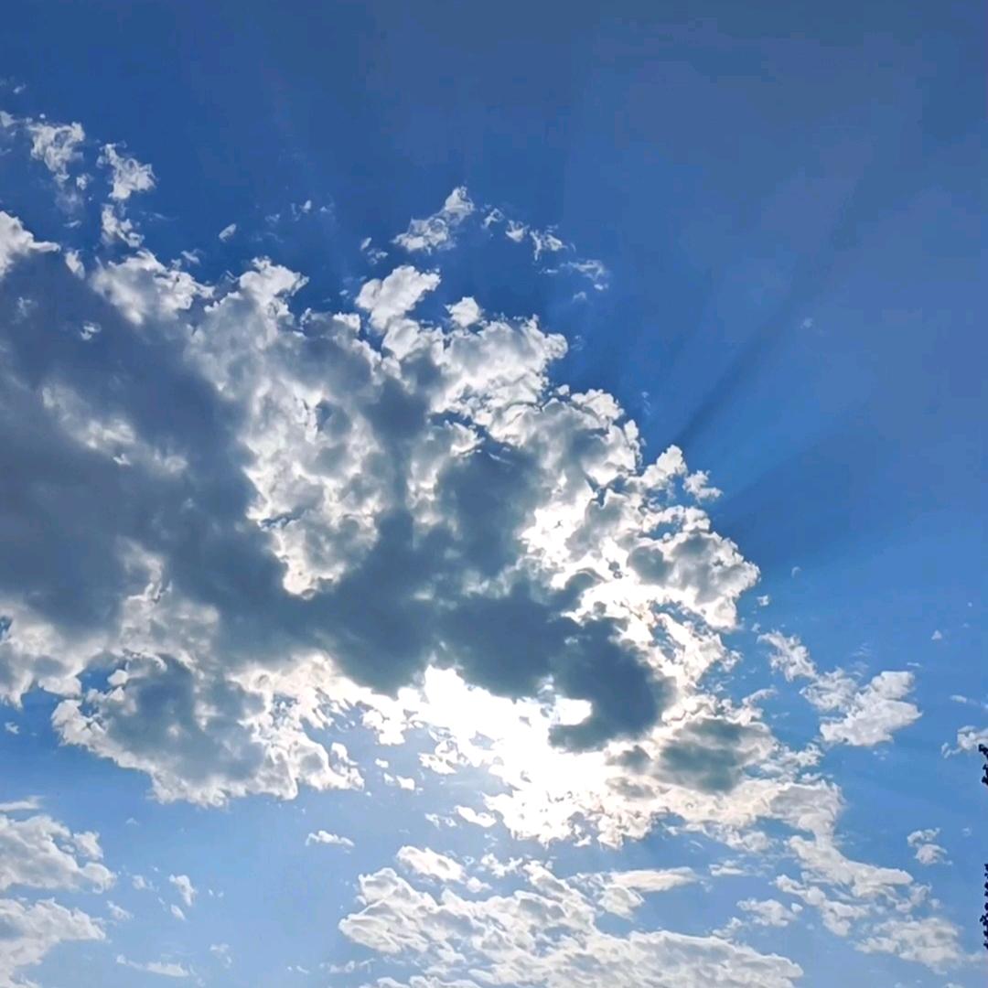 贪吃兔￥