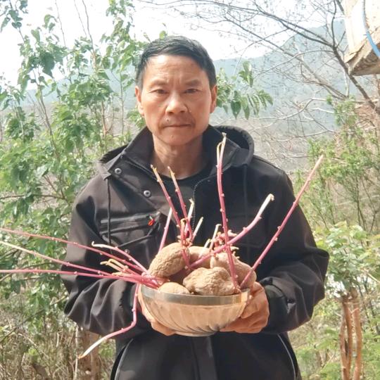 土味食光