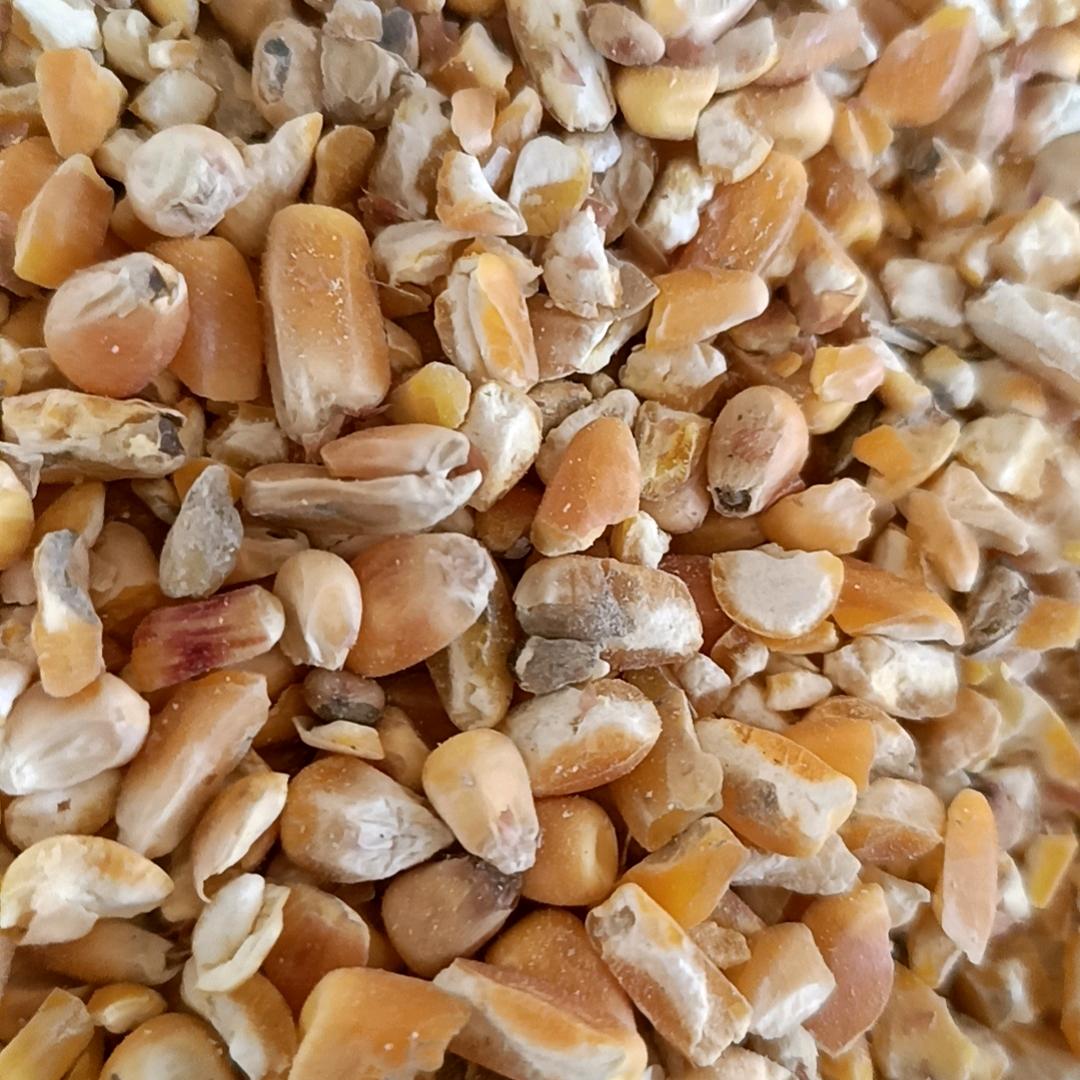 粮心（常年购销各种次粮，霉变玉米，碎玉