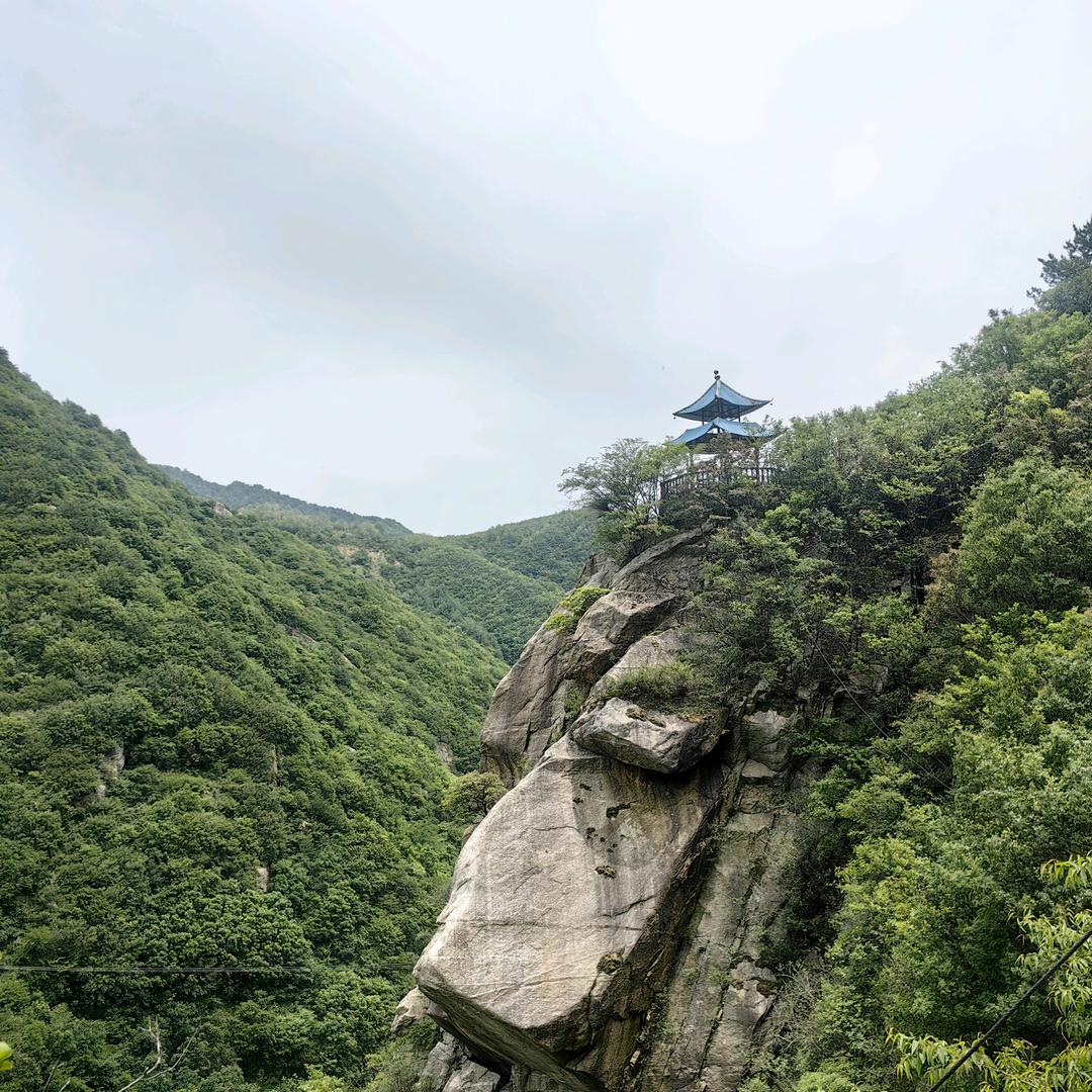 ღᩚ᭄笑看༒风云🍀ৡᩚ࿐