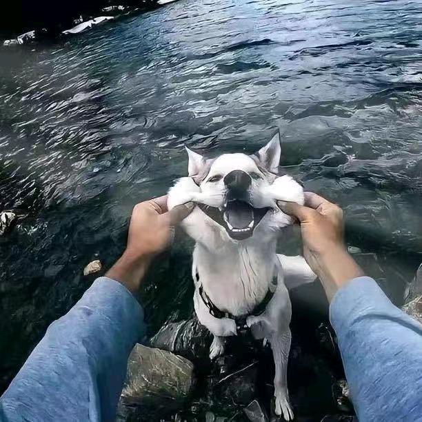 开心消消乐