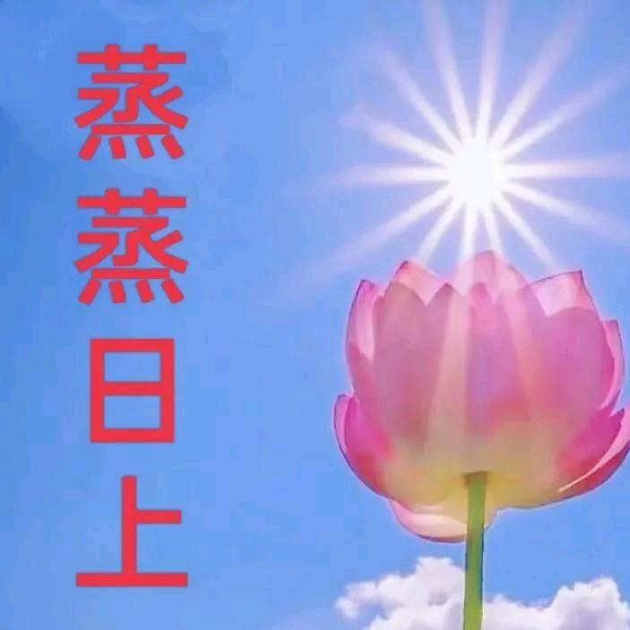 闹闹