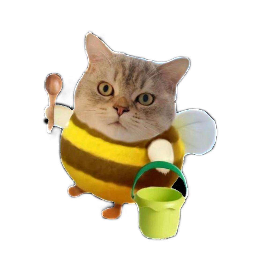 给阿姨倒杯卡布奇洛