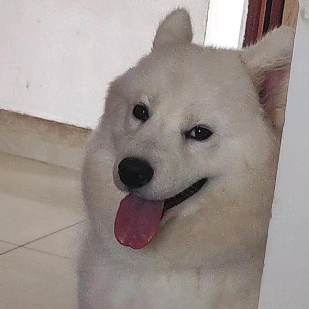 黎二爷