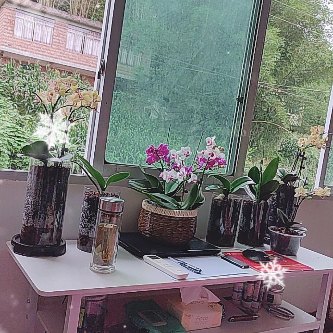 人间清欢(爱兰者)🍀⁷⁶⁸