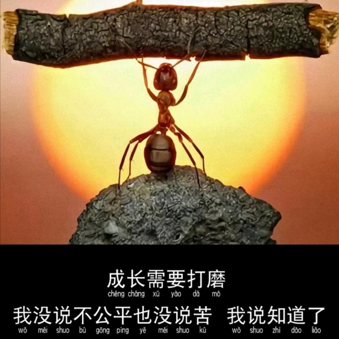 小李吖✨