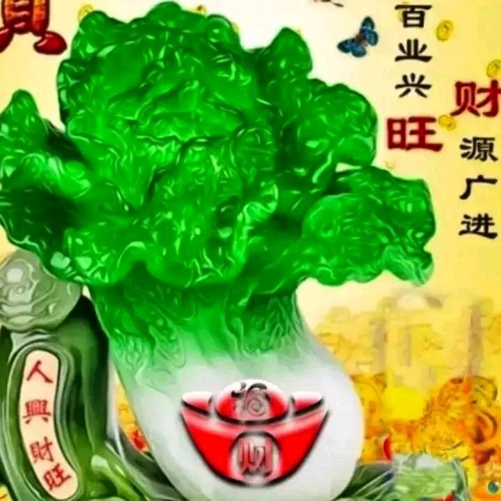 ✨龍✨纳百财✨💫