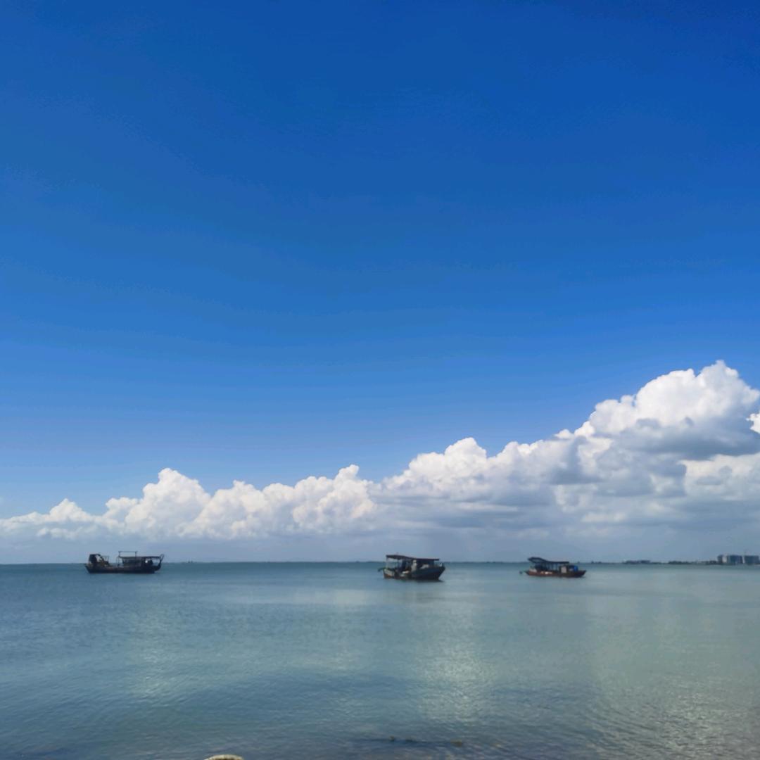 童年时期的小黄鸭