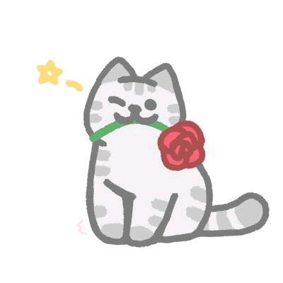 星星cat