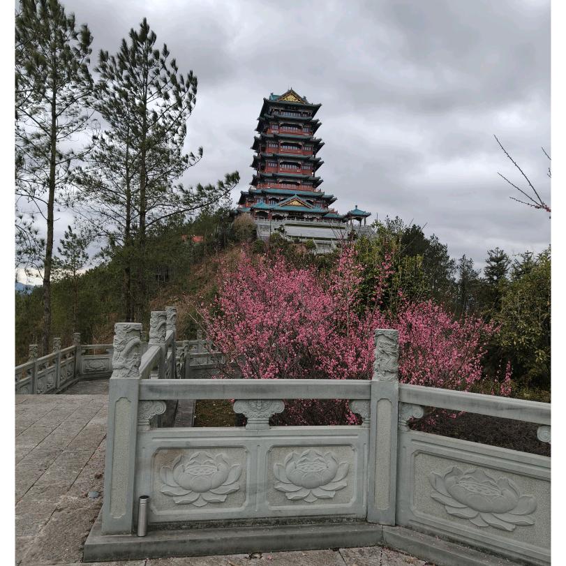 ℋღ᭄金辉🍒᭄💞࿐