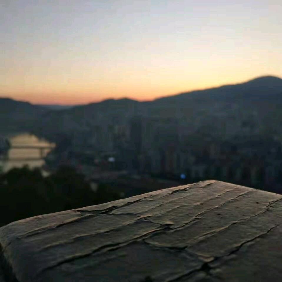 🐭沙漠之鹰🐭