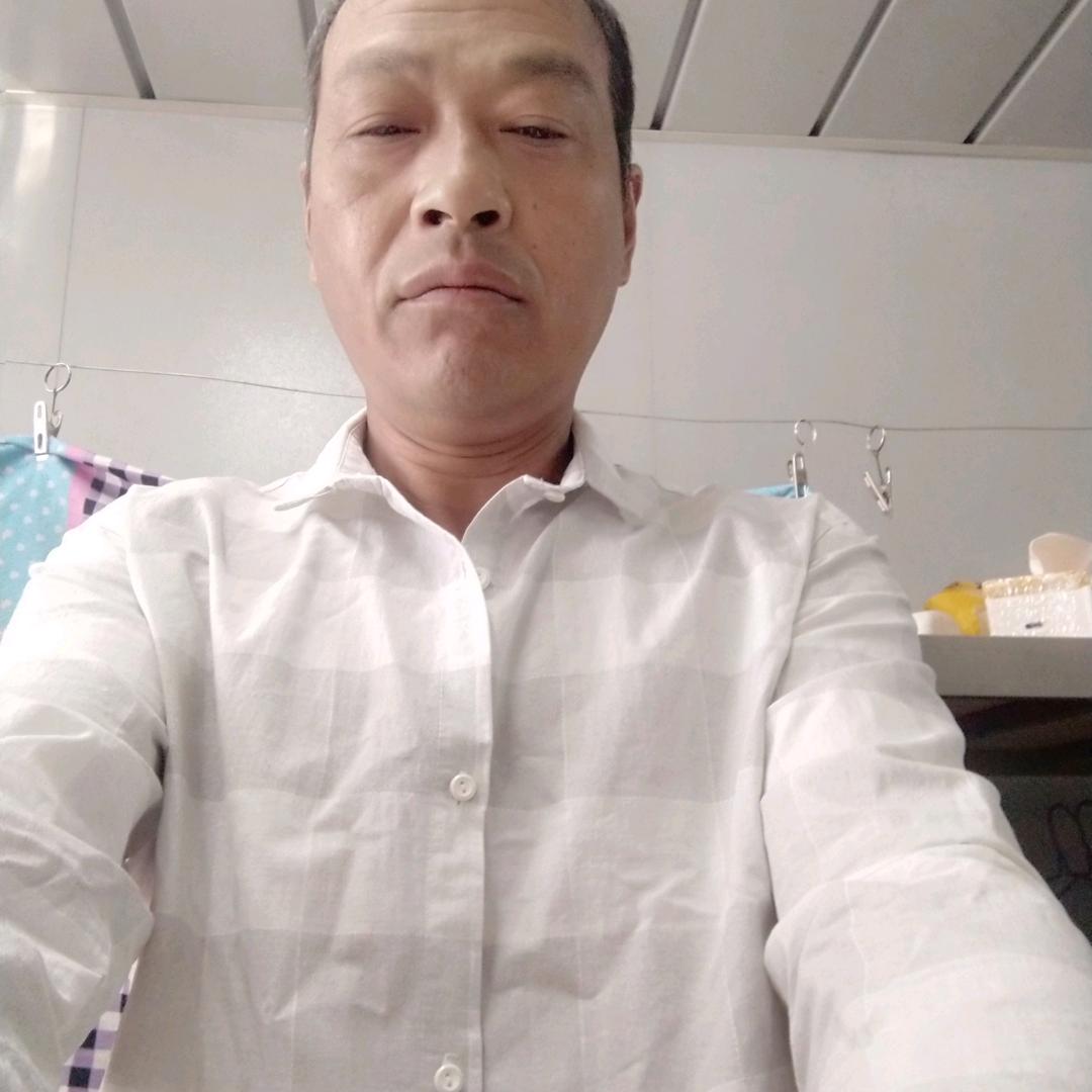 秦茂
