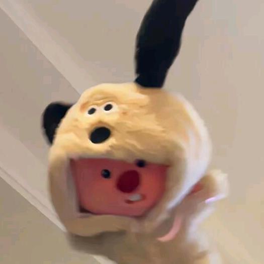 小L头像