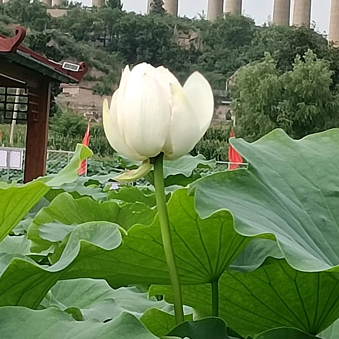 何处是归程