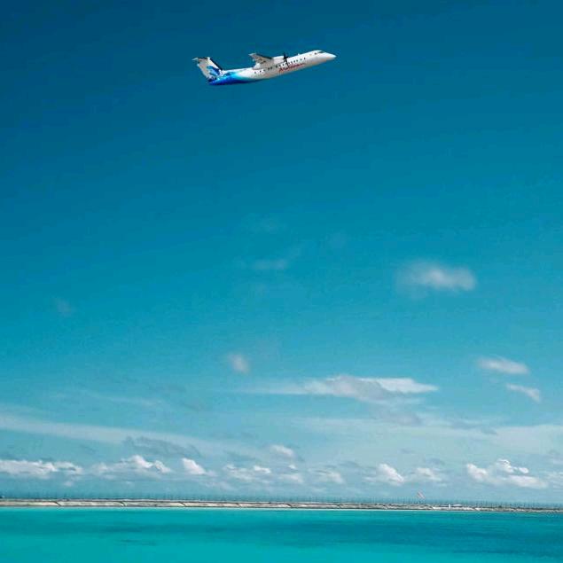 和气生财《方城四哥》