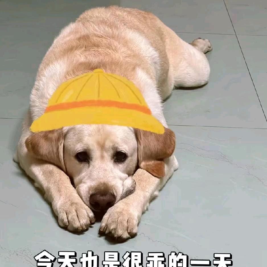 月子红糖（售）