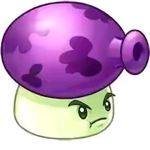 🟣🟣🟣🟣🟣🟣🟣