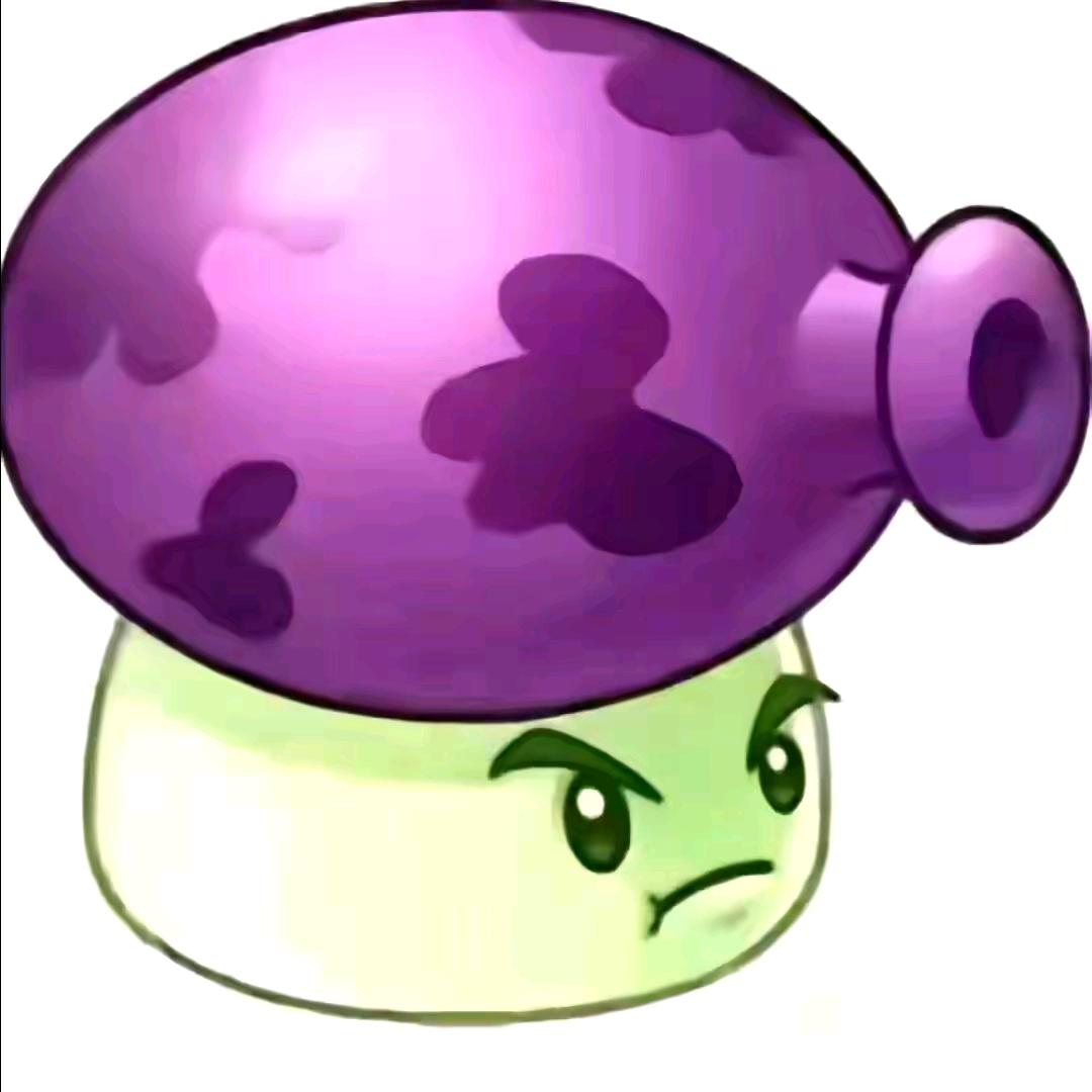 🟣🟣🟣🟣🟣🟣🟣