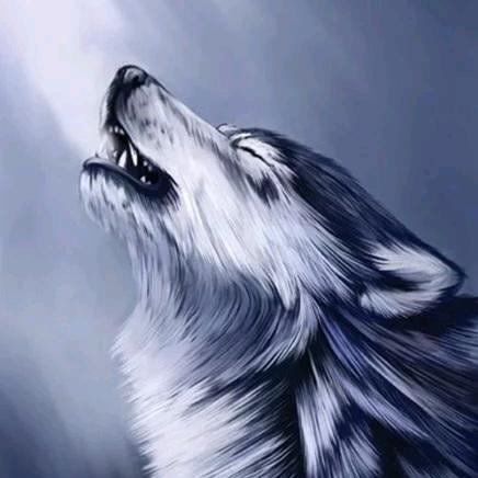 老黑哥♥松先生