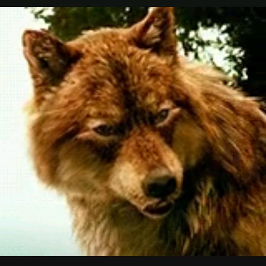 让我痛就让你更痛