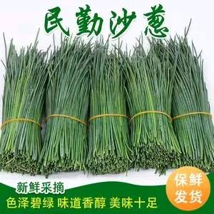 嘉峪关沙葱配送