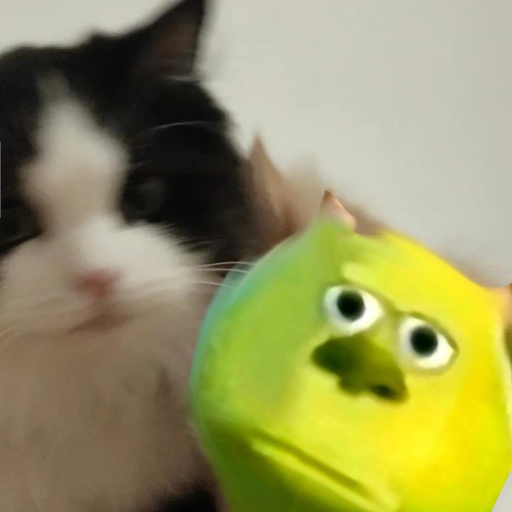 🐱🐱🐱（流麻接单