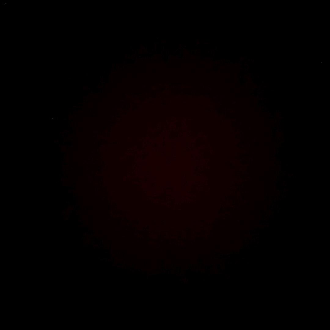 黑粉祖宗