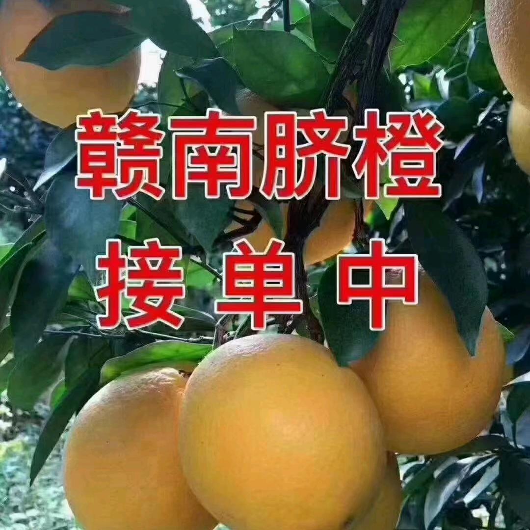 江西表嫂
