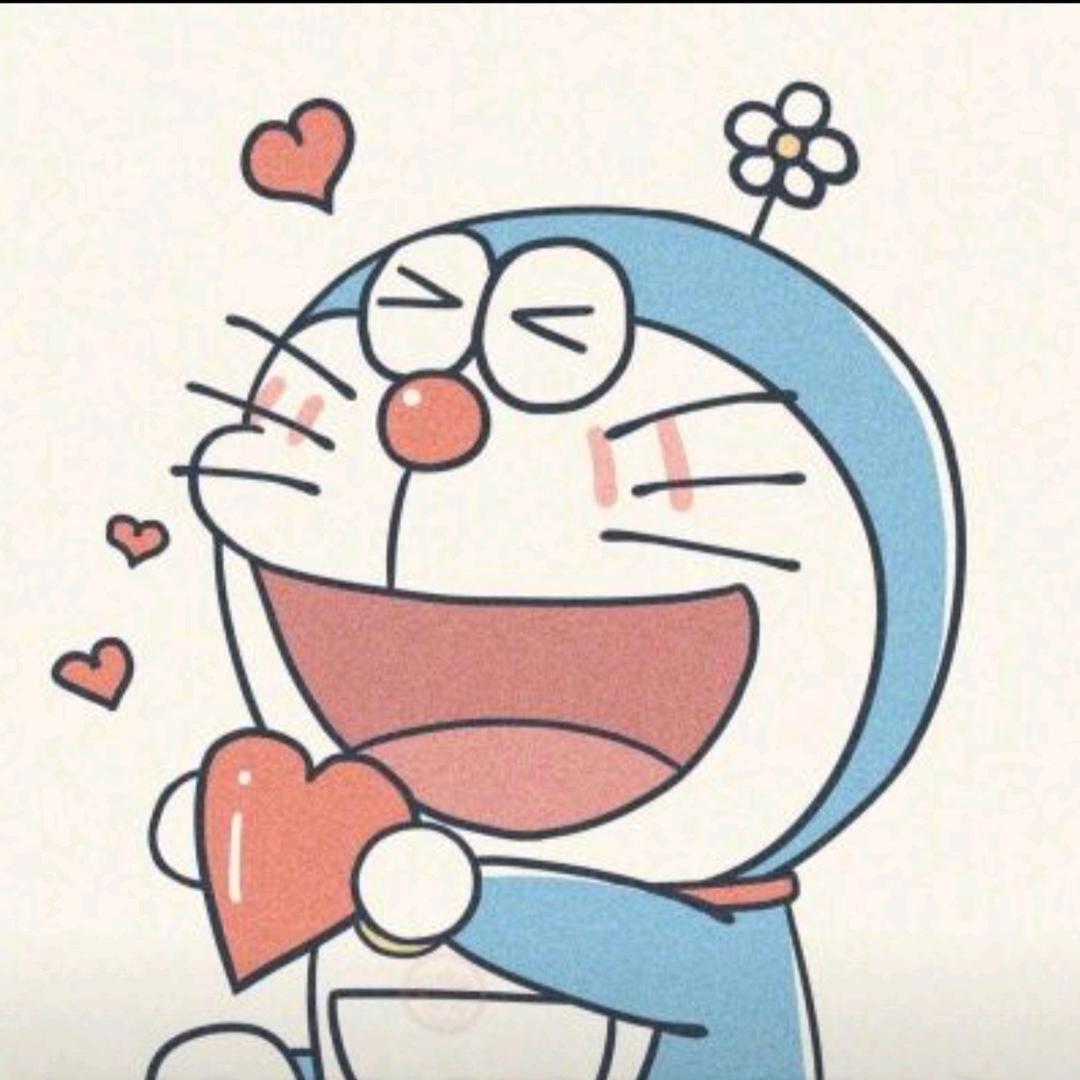 我比带土更爱琳
