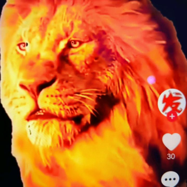 农民小弟💥((🔥⥎🔥))💥